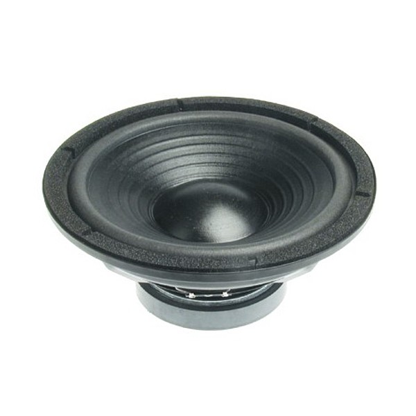 ALTAVOZ GRAVES 10" 100W (60 RMS)